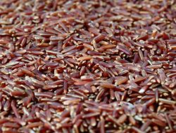 Manfaat Beras Merah dan Cara Mengolahnya
