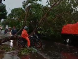 Aktivis Ditantang Duel , Mampukah Dinas PUPP Tindak Tegas Operator Mabuk di Proyek Jalan Ruas A.yani-Kalbut ?