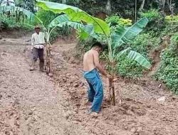 Jalan Rusak Parah, Warga Desa Curah Tatal Situbondo Mengeluh