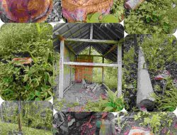 Hutan Dirusak , Warga Kayumas Bersuara ! Kemana Pihak Perhutani ?