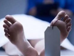 Pj. Bupati Pringsewu Hadiri Rapat Test Operasional Penerapan Opsen PKB dan Opsen BBNKB Tahun 2025