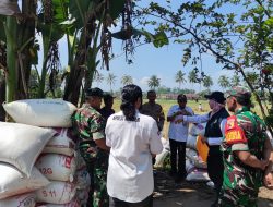 BALAD Grup Perluas Sayap ke Perikanan Tangkap, Siap Taklukkan Laut Indonesia
