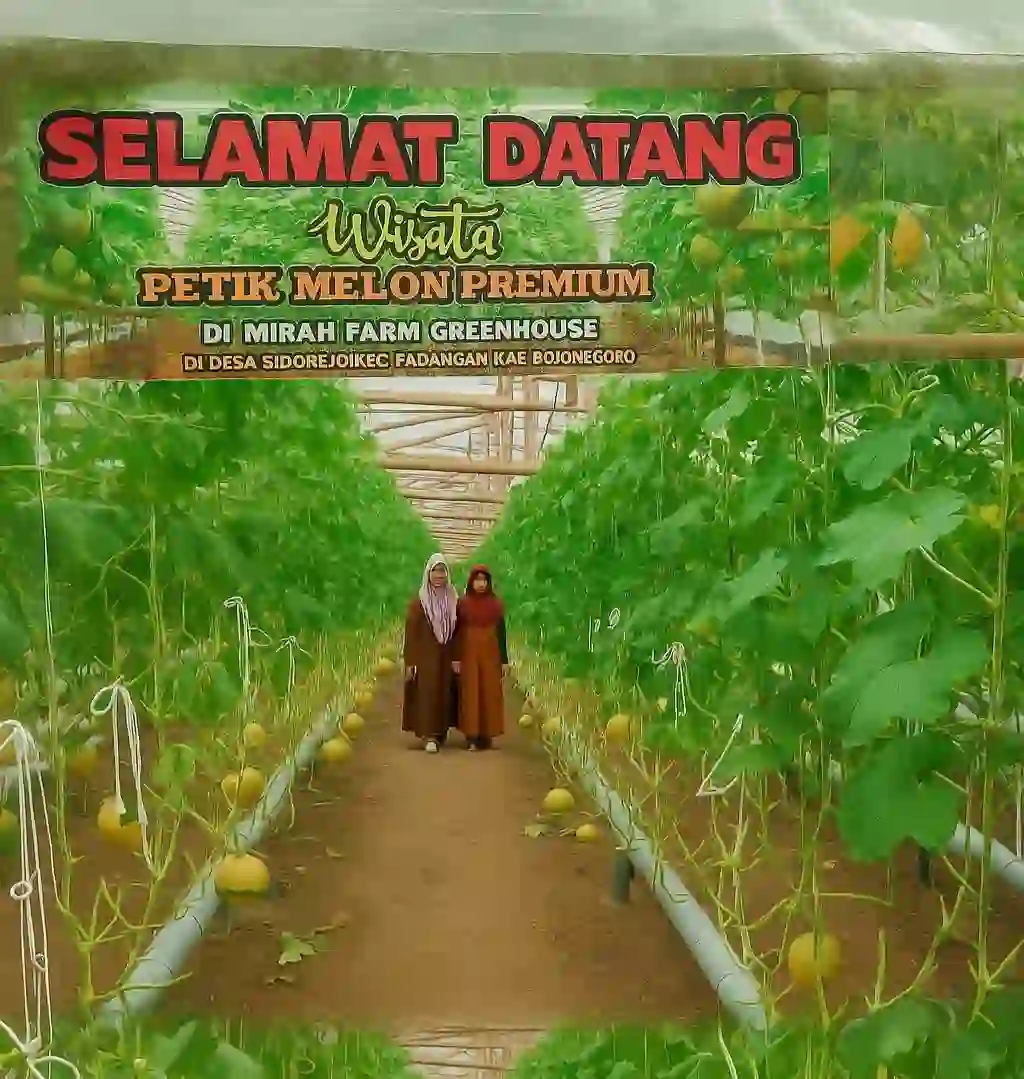Ilustrasi topik artikel