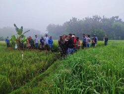 Video Viral : Oknum Ketua RT Ancam LSM, Proyek Tanpa Papan Nama Jadi Sorotan!