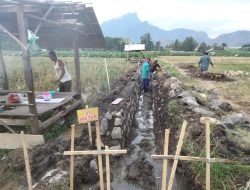 LBH Cakra Soroti Proyek P3-TGAI di Desa Bletok: Temuan Dugaan Penyimpangan dan Ketidakpatuhan Teknis
