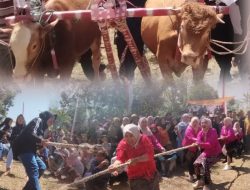 Hadiah Traktor di Ulang Tahun Pertama Toko Pertanian AB Makmur, Ajak Petani Tingkatkan Hasil Panen