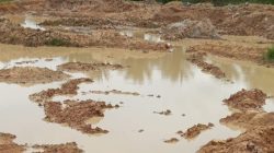 Warga Kampung Sendang Mulyo Cetak Ulang Sawah Swadaya, Harap Panen Dua Kali Setahun