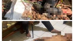 Apes! Pelaku Curanmor di Pasuruan Terluka Parah Kena Ledakan Bondet Sendiri