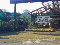 Rencana Libur Keluarga Seharian dari Medan: Rute Sembahe-Bukit Kubu dengan Budget Terukur
