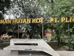 Spot Nongkrong Outdoor Medan Sore-Malam: Jalur Rindang, Danau Siombak, dan Sudut Kota yang Lagi Dicari