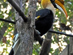 Pilihan Wisata Malam Keluarga di Deli Serdang dan Sekitarnya